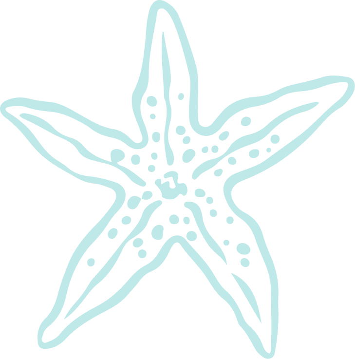 Simple starfish drawing with five arms