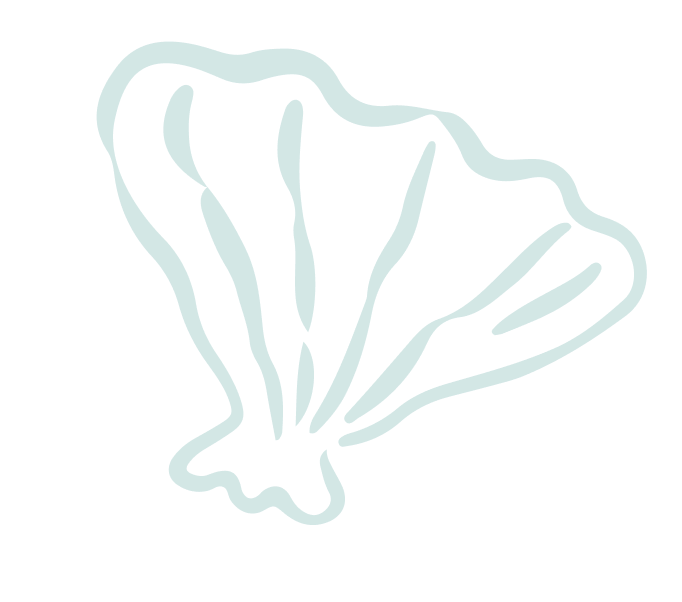 Abstract shell illustration on black background